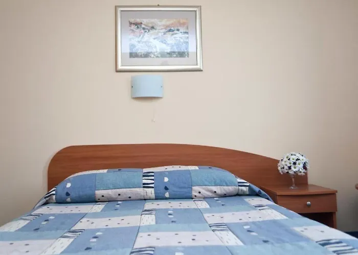 ростов Плевен